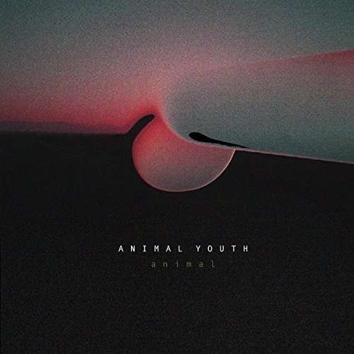 Animal - Animal Youth - Musiikki - WEYRD SON RECORDS - 5055869558440 - perjantai 2. kesäkuuta 2017