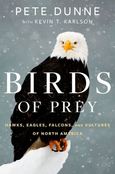 Dunne Pete Dunne · Birds of Prey: Hawks, Eagles, Falcons, and Vultures of North America (Inbunden Bok) (2017)