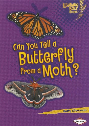 Cover for Buffy Silverman · Can You Tell a Butterfly from a Moth? (Lightning Bolt Books: Animal Look-alikes) (Paperback Book) (2011)