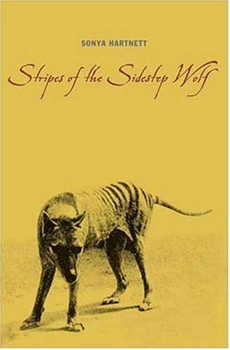 Cover for Sonya Hartnett · Stripes of the Sidestep Wolf (Hardcover Book) [F First American edition] (2005)