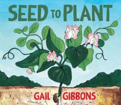 Cover for Gail Gibbons · Seed to Plant (Board book) (2023)