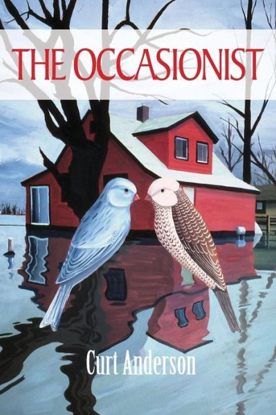 Cover for Curt Anderson · The Occasionist (Paperback Book) (2014)