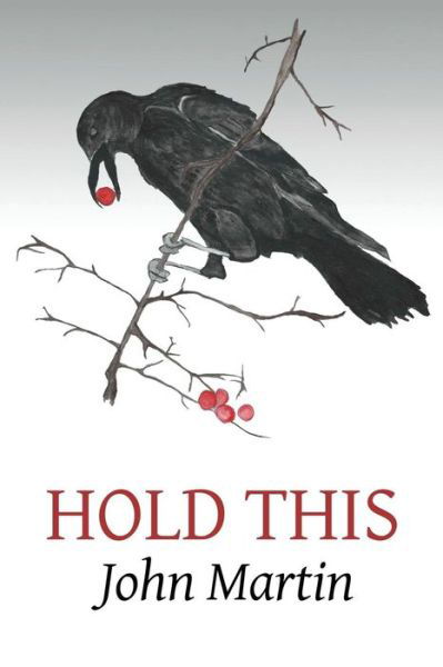 Cover for John Martin · Hold This (Pocketbok) (2017)