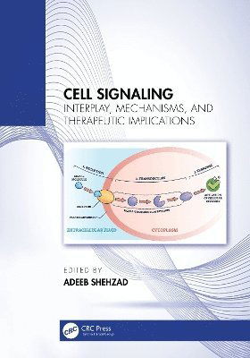 Cell Signaling: Interplay, Mechanisms, and Therapeutic Implications -  - Books - Taylor & Francis Ltd - 9781032707440 - April 17, 2025