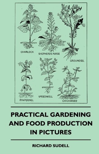 Cover for Richard Sudell · Practical Gardening and Food Production in Pictures (Paperback Book) (2010)