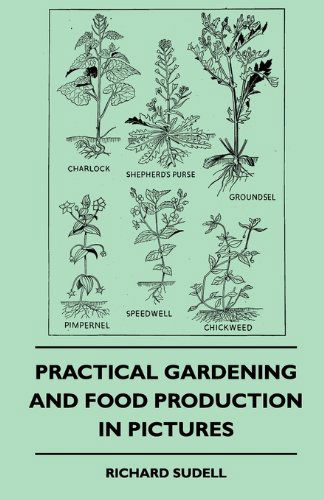 Practical Gardening and Food Production in Pictures - Richard Sudell - Książki - Angell Press - 9781445512440 - 26 lipca 2010