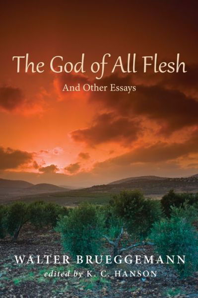 Cover for Walter Brueggemann · The God of All Flesh (Paperback Book) (2015)