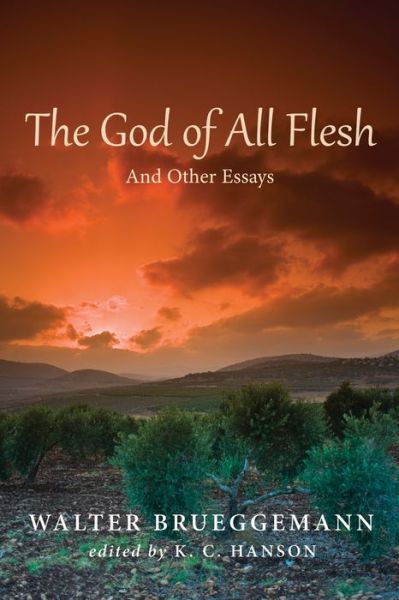 The God of All Flesh - Walter Brueggemann - Libros - Cascade Books - 9781498206440 - 11 de noviembre de 2015