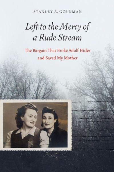 Cover for Stanley A. Goldman · Left to the Mercy of a Rude Stream: The Bargain That Broke Adolf Hitler and Saved My Mother (Inbunden Bok) (2018)