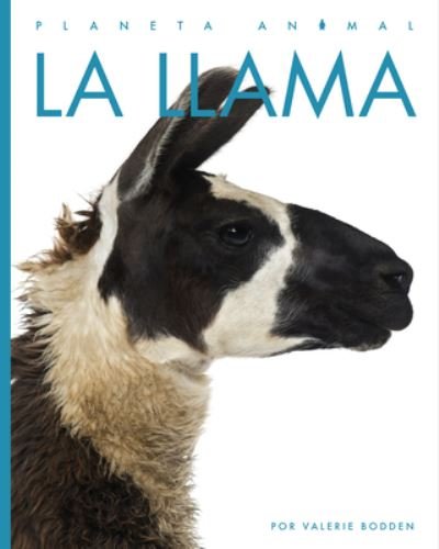 Cover for Valerie Bodden · Llama (Book) (2023)