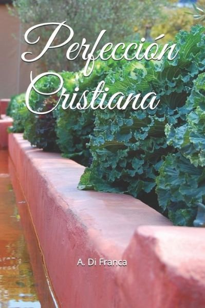 Cover for I M S · Perfeccion Cristiana (Paperback Bog) (2018)