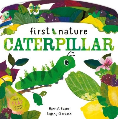 Cover for Harriet Evans · Caterpillar - First Nature (Book) (2021)