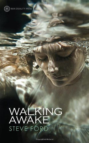 Cover for Steve Ford · Walking Awake (Paperback Book) (2014)