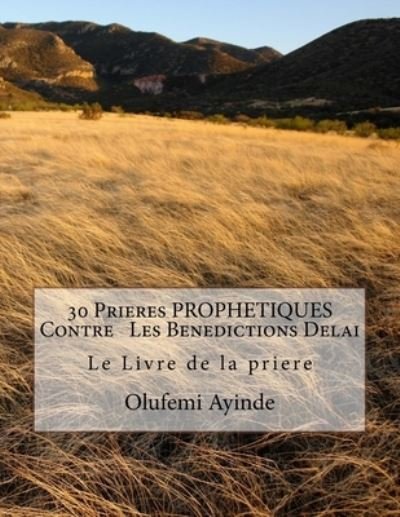 Cover for Olufemi Ayinde · 30 Prieres PROPHETIQUES Contre Les Benedictions Delai (Paperback Book) (2017)
