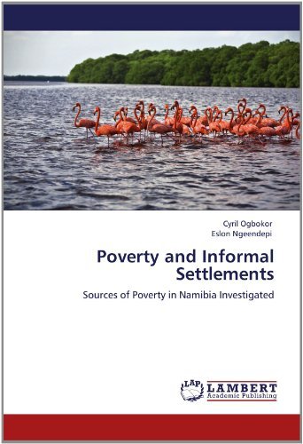 Cover for Eslon Ngeendepi · Poverty and Informal Settlements: Sources of Poverty in Namibia Investigated (Paperback Book) (2012)