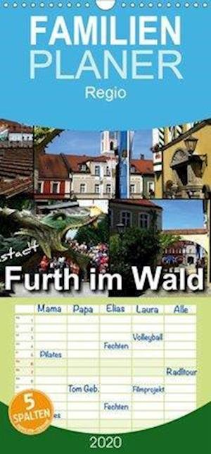 Cover for Bleicher · Drachenstadt Furth im Wald - F (Book)