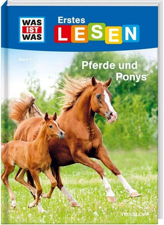 Cover for Braun · Was ist was Erstes Lesen: Pferde (Buch)