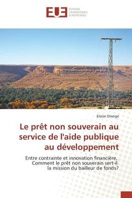 Cover for Orange · Le prêt non souverain au service (Book)