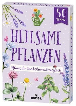 Blatt & Blüte Heilsame Pflanzen - Bärbel Oftring - Books - moses Verlag - 9783964552440 - February 8, 2023
