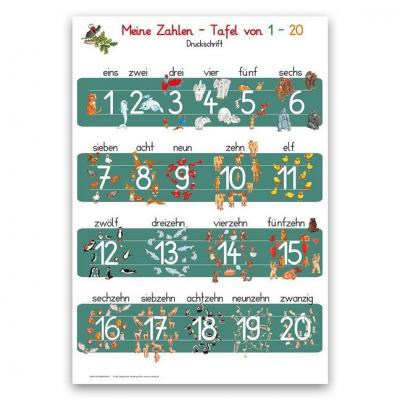 Cover for Momm · Meine Zahlen-Tafel von 1-20 DIN A4 (Book)