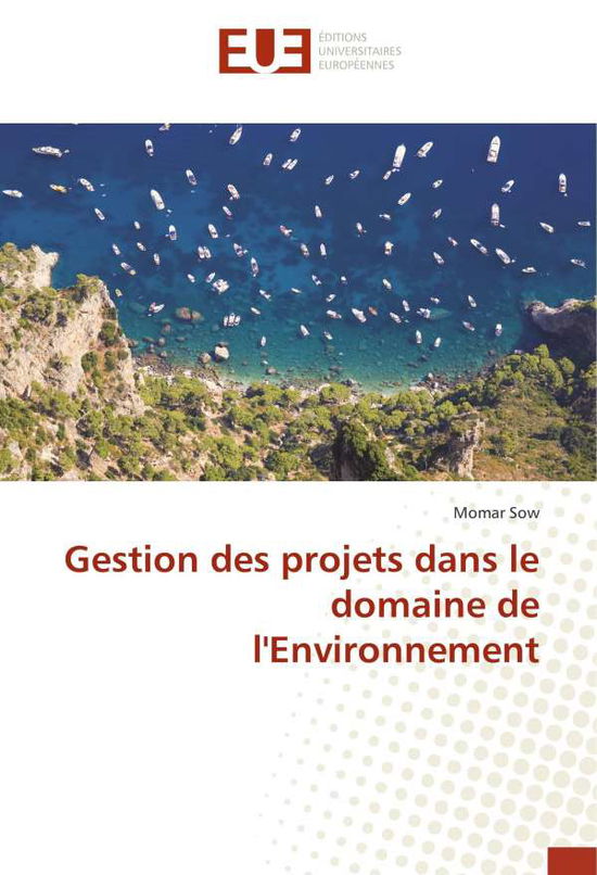 Cover for Sow · Gestion des projets dans le domaine (Book)