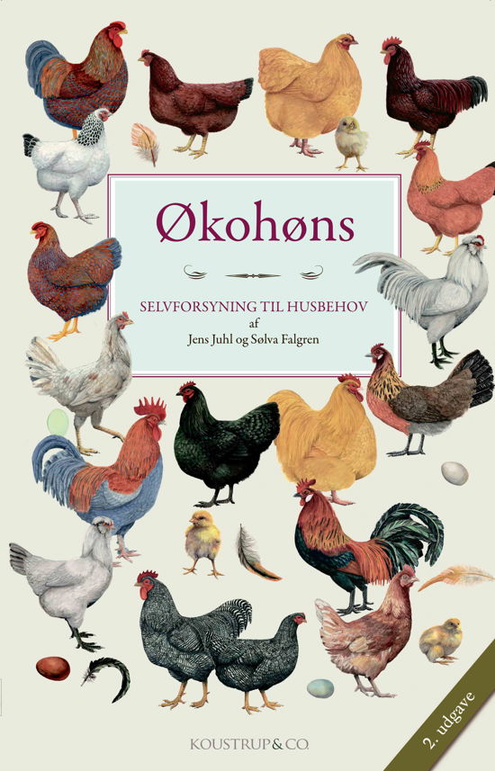 Økohøns - 2. udgave - Jens Juhl og Sølva Falgren - Boeken - Koustrup & Co. - 9788793159440 - 1 september 2024