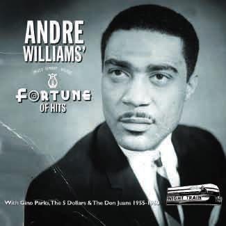Cover for Andre Williams · A Fortune of Hits (CD) [Japan Import edition] (2014)