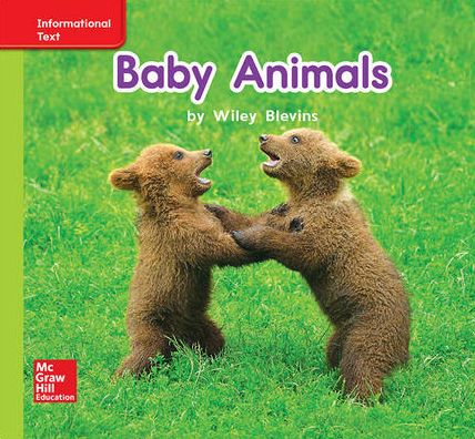 Cover for Donald Bear · World of Wonders Patterned Book # 7 Baby Animals (Bok) (2016)