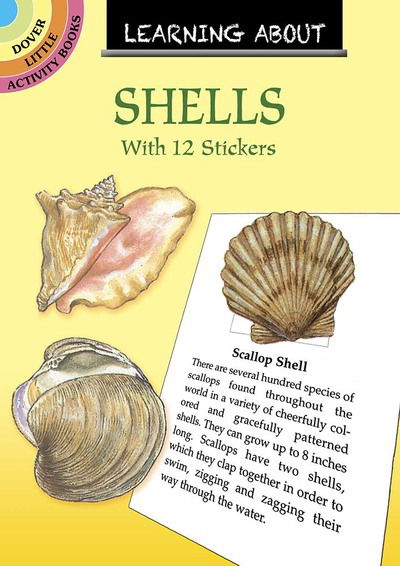 Cover for Sy Barlowe · Learning About Shells - Little Activity Books (Taschenbuch) (2020)