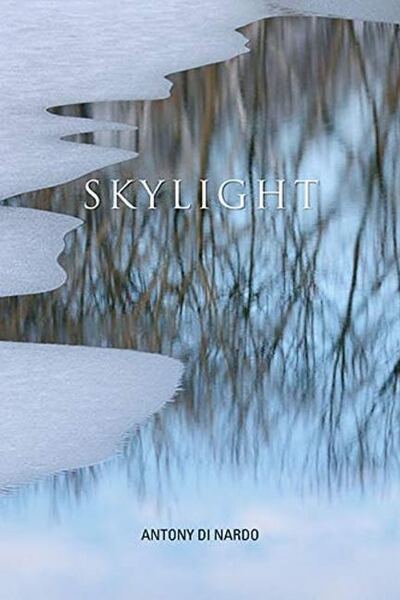 Cover for Antony Di Nardo · Skylight (Paperback Book) (2018)