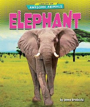 Cover for Jenna Grodzicki · Elephant (Hardcover Book) (2021)