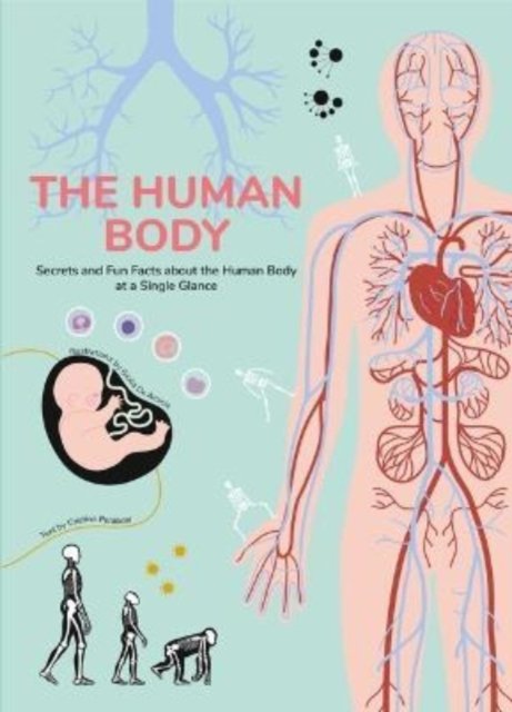 Cover for Cristina Peraboni · The Human Body Mysteries Explained: An Illustrated Parts of the Body Book for Kids - Infographics for Kids! (Hardcover Book) (2024)