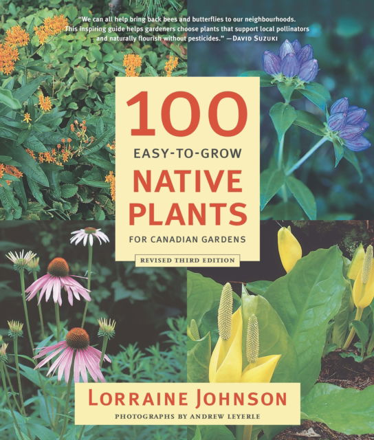 Cover for Lorraine Johnson · 100 Easy-to-Grow Native Plants for Canadian Gardens (Paperback Book) (2017)