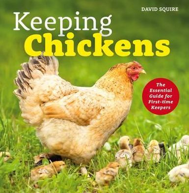 Cover for David Squire · Keeping Chickens: The Essential Guide for First-time Keepers (Hardcover Book) (2012)