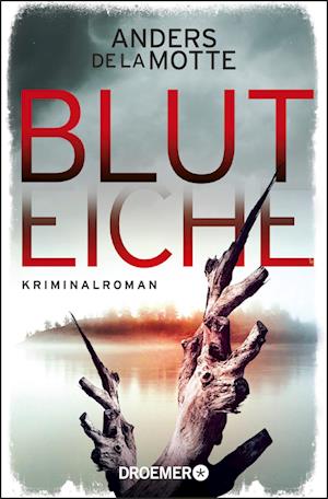 Bluteiche - Anders de la Motte - Libros - Droemer Taschenbuch - 9783426307441 - 1 de marzo de 2022