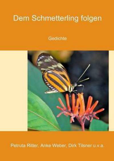Cover for Weber · Dem Schmetterling folgen (Book) (2016)