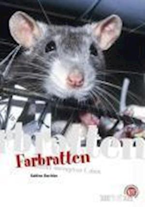 Cover for Sabine Oechler · Farbratten (Paperback Book) (2008)