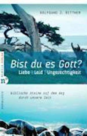 Cover for Wolfgang J. Bittner · Bist du es, Gott? (Paperback Book) (2007)