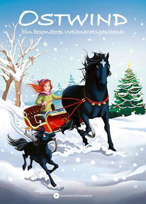 Cover for Thilo; Schmidbauer, Lea; Henn, Kristina Magdalena · Ostwind - Ein Besonderes Weihnachtsgeschenk (Book)