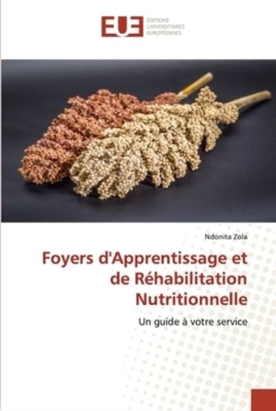Cover for Zola · Foyers d'Apprentissage et de Réhab (N/A) (2020)