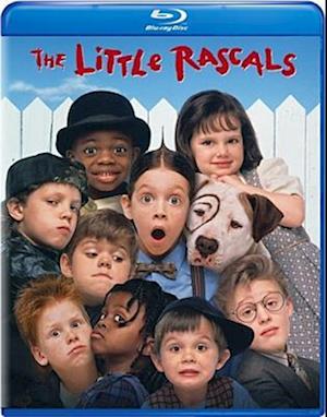 Cover for Little Rascals (Blu-ray) (2019)