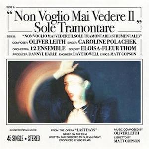 Cover for Caroline Polachek · Non Voglio Mai Vedere (7&quot;) (2023)