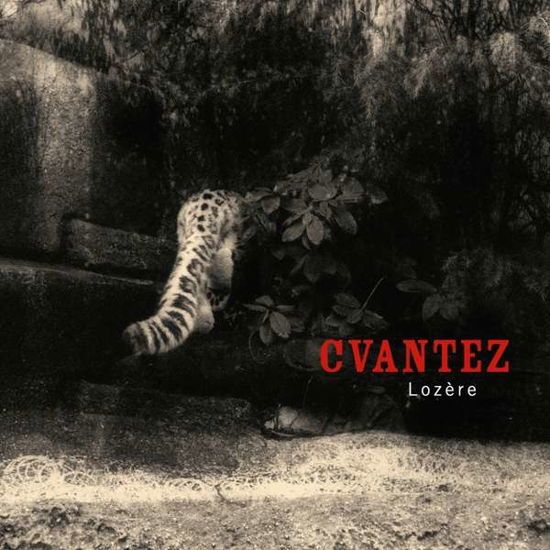 Cover for Cvantez · Lozere (CD) (2017)