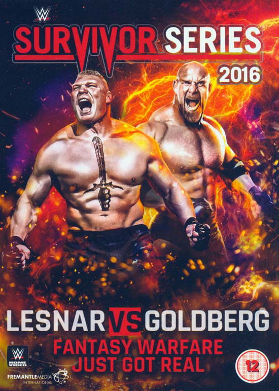 Wwe Survivor Series 2016 - Wwe Survivor Series 2016 - Films - FREMANTLE/WWE - 5030697037442 - 23 januari 2017