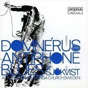 Cover for Domnerus,arne / Sjökvist,gustaf · A Domne (CD) (2002)