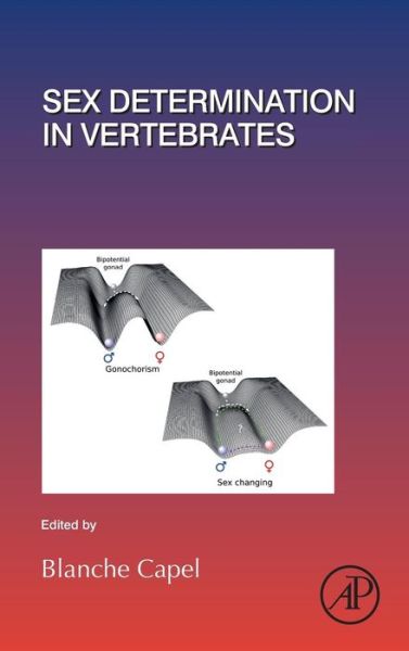 Cover for Sex Determination in Vertebrates (Gebundenes Buch) (2019)