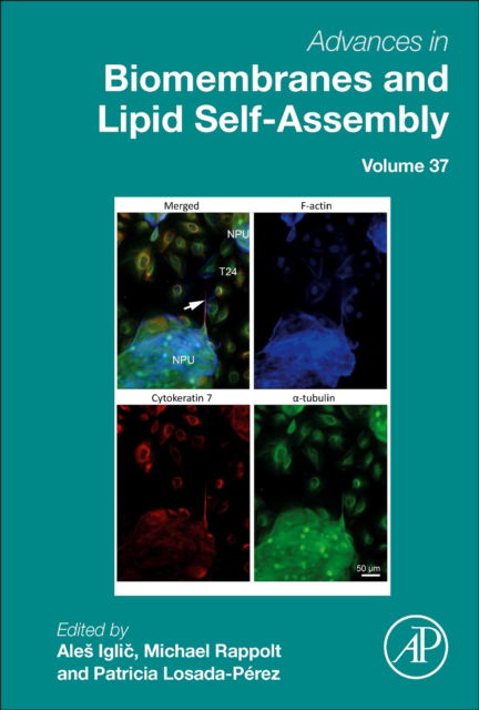 Cover for Ales Iglic · Advances in Biomembranes and Lipid Self-Assembly - Advances in Biomembranes and Lipid Self-Assembly (Hardcover Book) (2023)