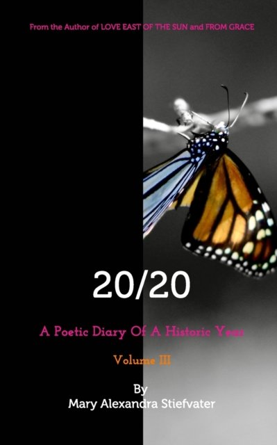 Cover for Mary Alexandra Stiefvater · 20/20 (Volume III) (Paperback Book) (2021)