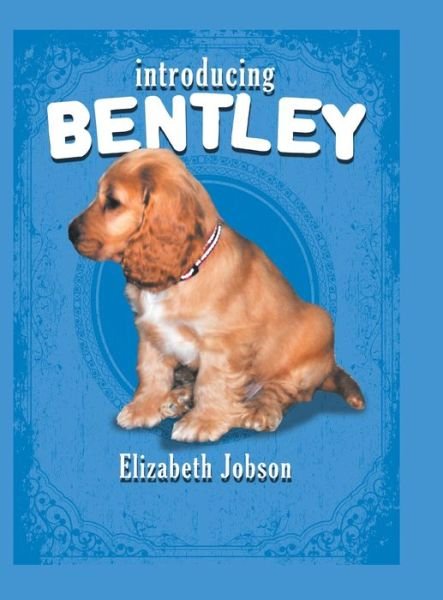 Cover for Elizabeth Jobson · Introducing Bentley (Hardcover Book) (2013)