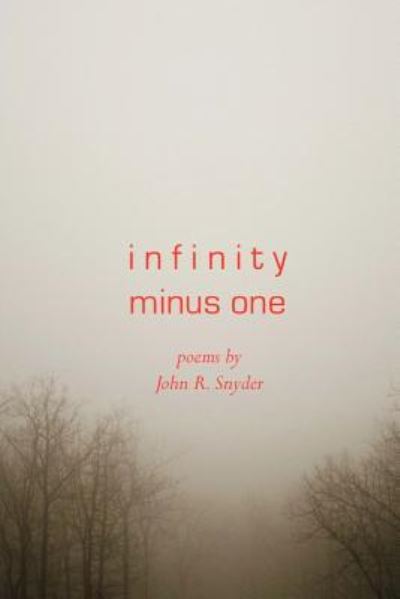 John R Snyder · Infinity Minus One (Taschenbuch) (2016)